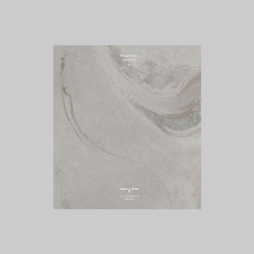  2020 Temgoo Catalog