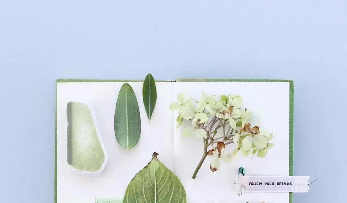 谁都想把春天一抹「绿」搬回去