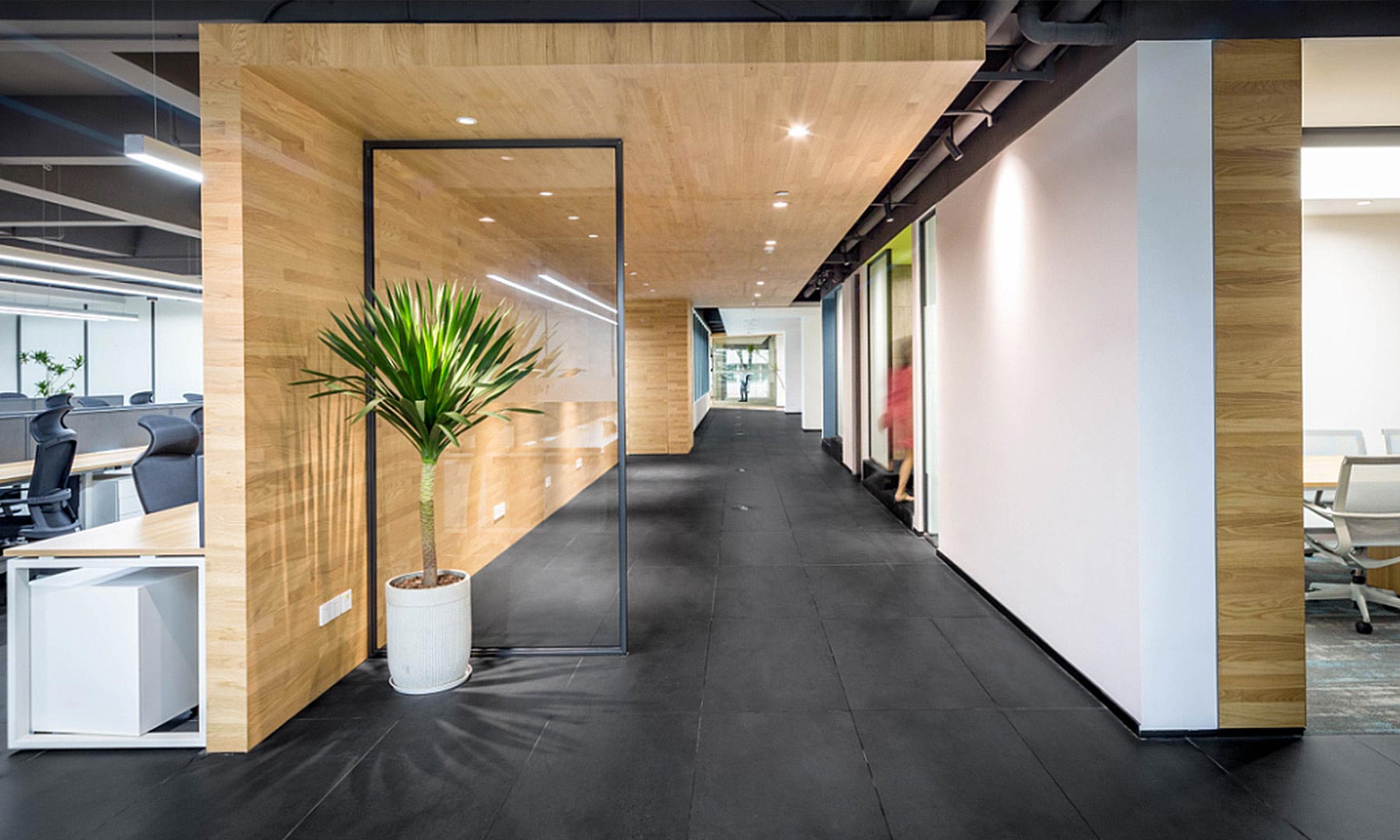 空间的多样性与丰富性